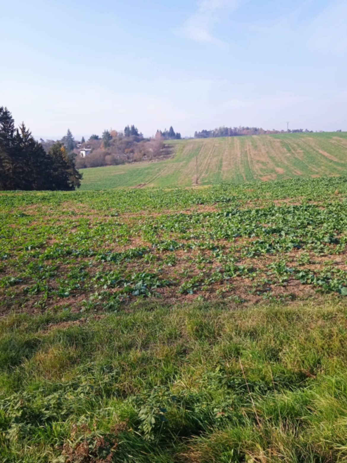 Nabízíme k prodeji atraktivní pozemek, na kterém je již schválená výstavba!