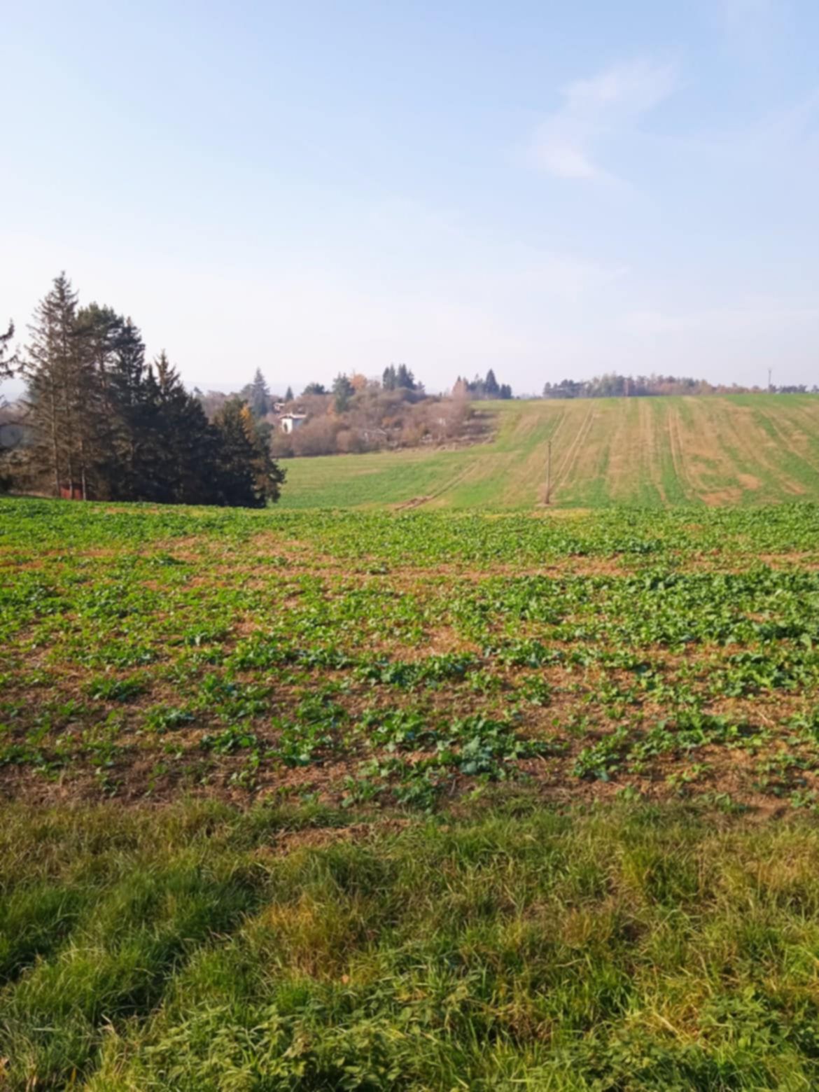 Nabízíme k prodeji atraktivní pozemek, na kterém je již schválená výstavba!