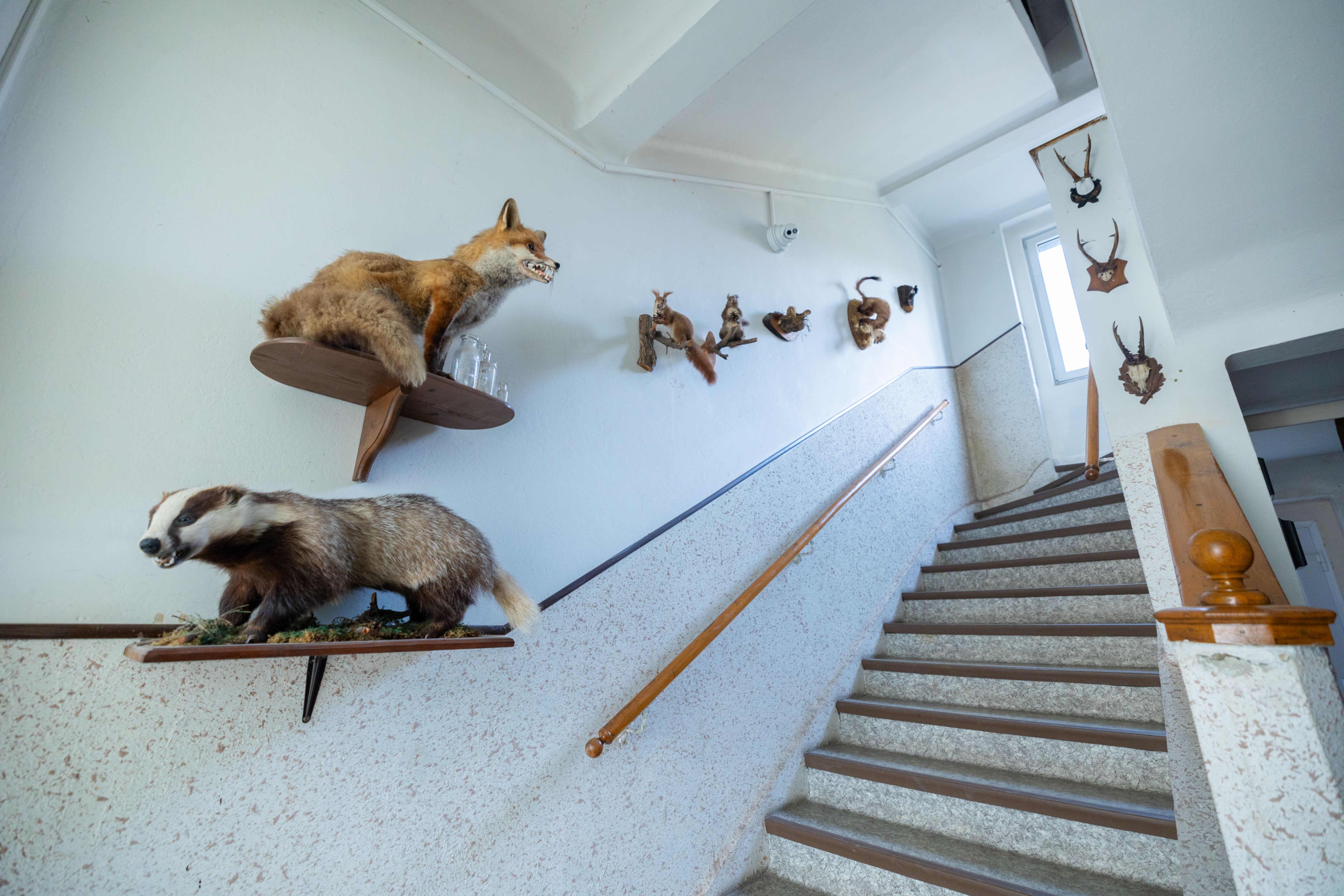 Hledáte rodinný dům s obrovským potenciálem? 🏡 Tento jedinečný dům ve Vejprtech kombinuje historii, moderní technologie a možnosti podnikání – ideální pro investici, vícegenerační bydlení i vlastní projekty.